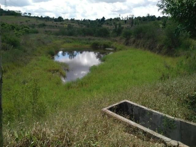 #203 - Sítio para Venda em Sapeaçu - BA