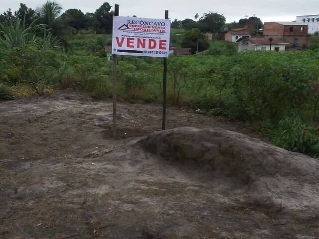 #218 - Terreno para Venda em Muritiba - BA
