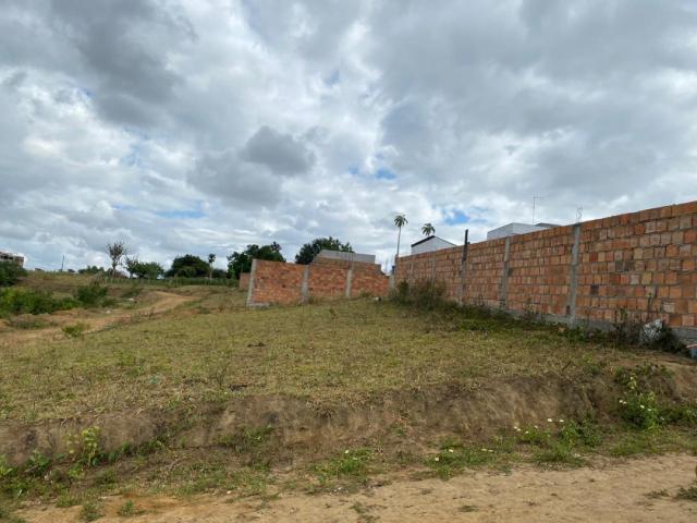 Área para Venda em Cruz das Almas - 4