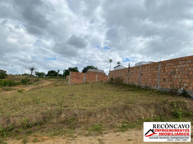 Área para Venda em Cruz das Almas - 4