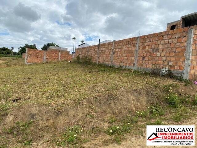 #239 - Área para Venda em Cruz das Almas - BA