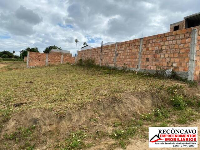 #239 - Área para Venda em Cruz das Almas - BA