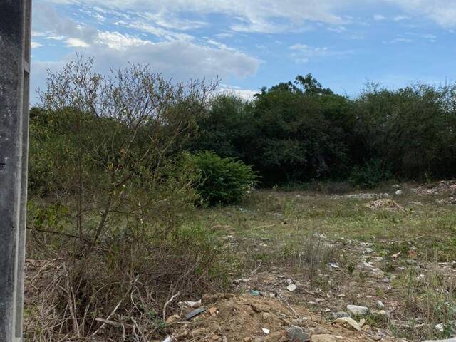 #241 - Área para Venda em Cruz das Almas - BA