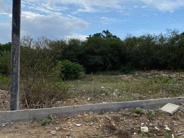 #241 - Área para Venda em Cruz das Almas - BA - 2