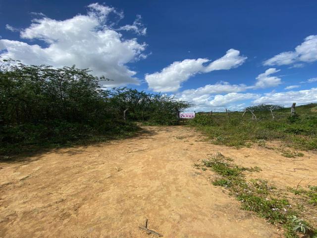 #256 - Fazenda para Venda em Sapeaçu - BA - 1