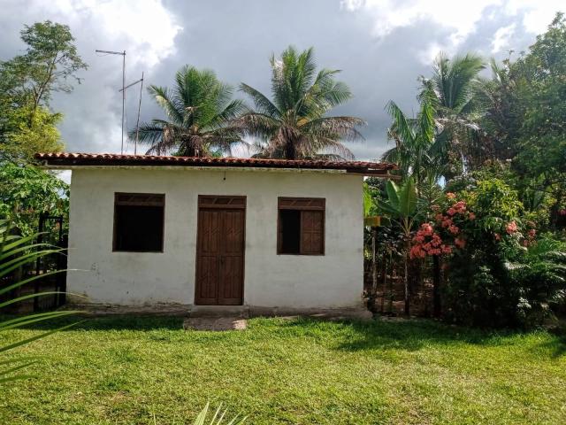 #267 - Sítio para Venda em Cachoeira - BA