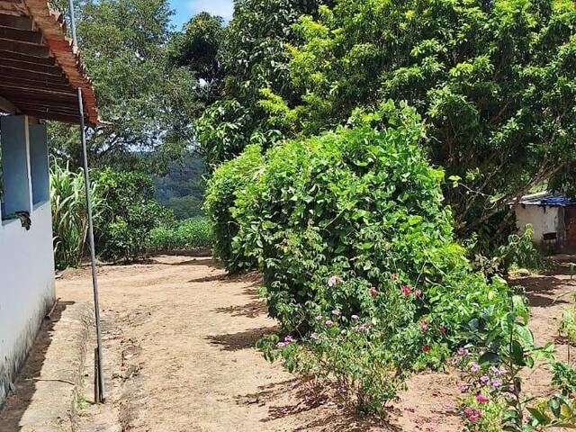 #281 - Sítio para Venda em Cruz das Almas - BA - 3