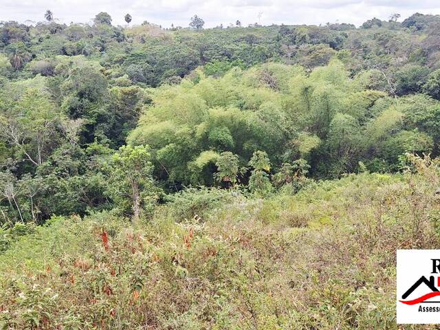 #281 - Sítio para Venda em Cruz das Almas - BA - 2